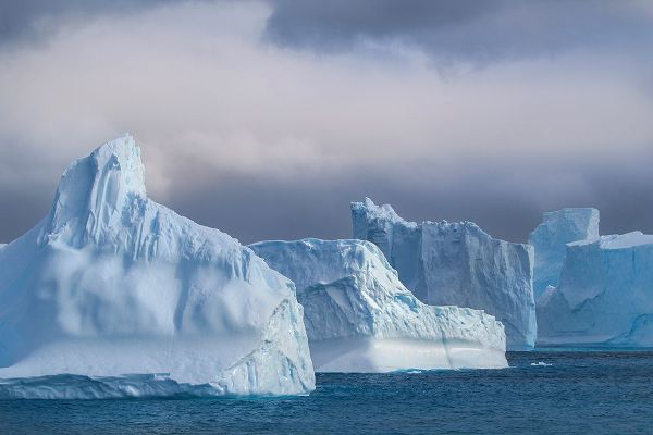 Antarctica-South Georgia Island-Coopers Bay Icebergs at sunrise